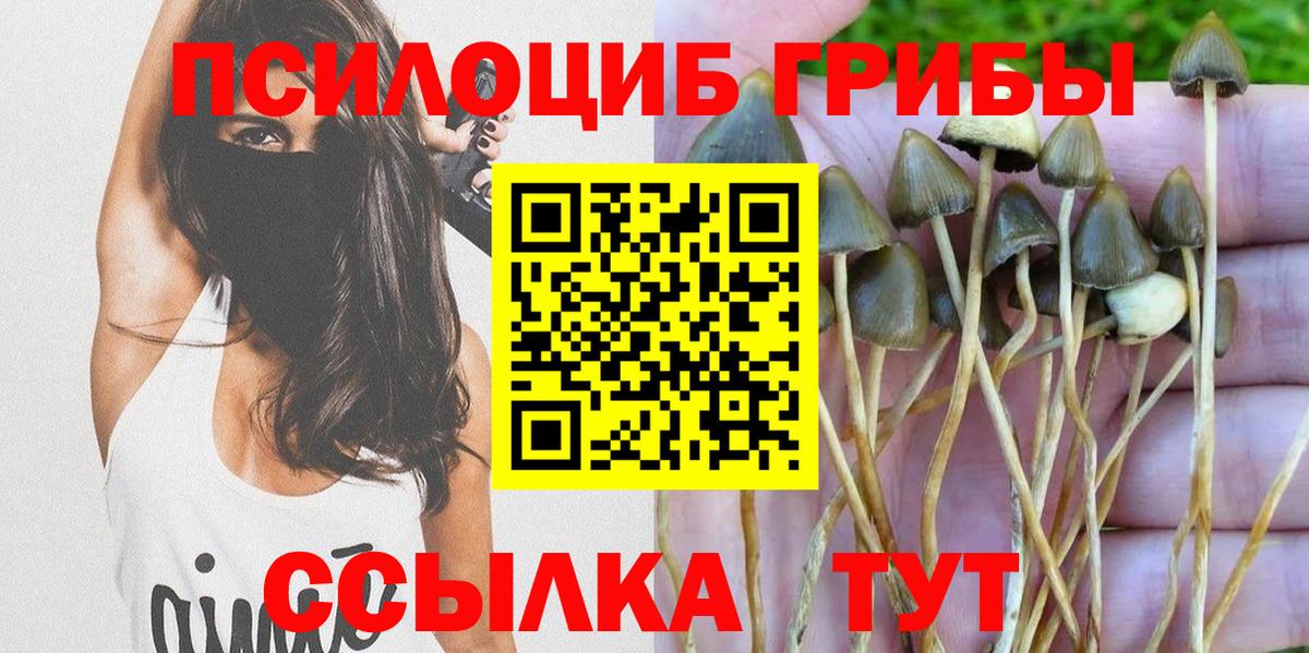 Ставрополь  Псилоцибиновые грибы прущие грибы  Вход с VPN 